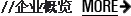 企业概览